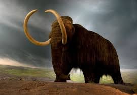 Mammoth