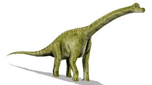 Brachiosaurus